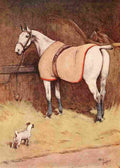 White Ear & Peter 1912 2 A4 Photo Print