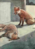 White Ear & Peter 1912 9 A4 Photo Print