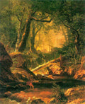 White Mountains New Hampshire 2 Bierstadt A4 Photo Print
