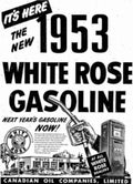 White Rose Gasoline Vintage Retro Advert Ads A4 Photo Print