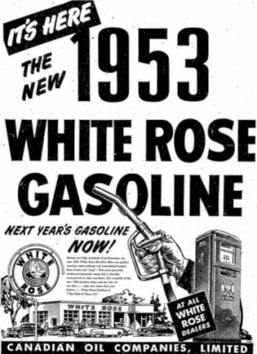 White Rose Gasoline Vintage Retro Advert Ads A4 Photo Print