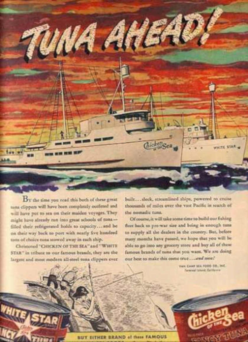 White Star Tuna Vintage Retro Advert Ads A4 Photo Print
