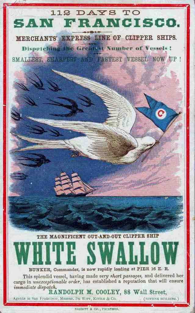 White Swallow Clipper Advert Vintage A4 Photo Print