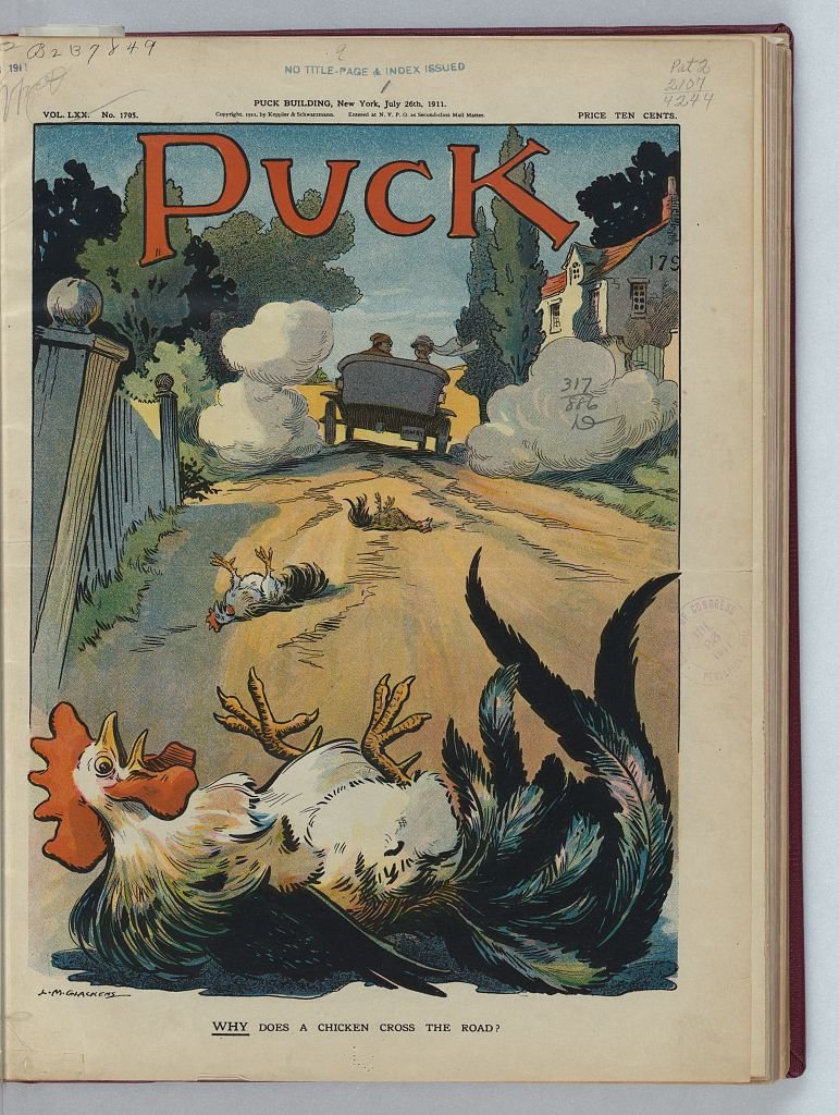 Why does a chicken cross the road PUCK A4 Photo Print