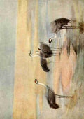Whymper Charles 1853 1941 Egyptian Birds 1909 Cranes A4 Photo Print