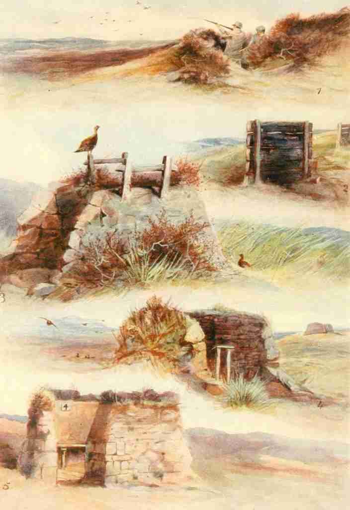 Whymper Charles 1853 1941 Grouse & Grouse Moors 1910 Butts A4 Photo Print