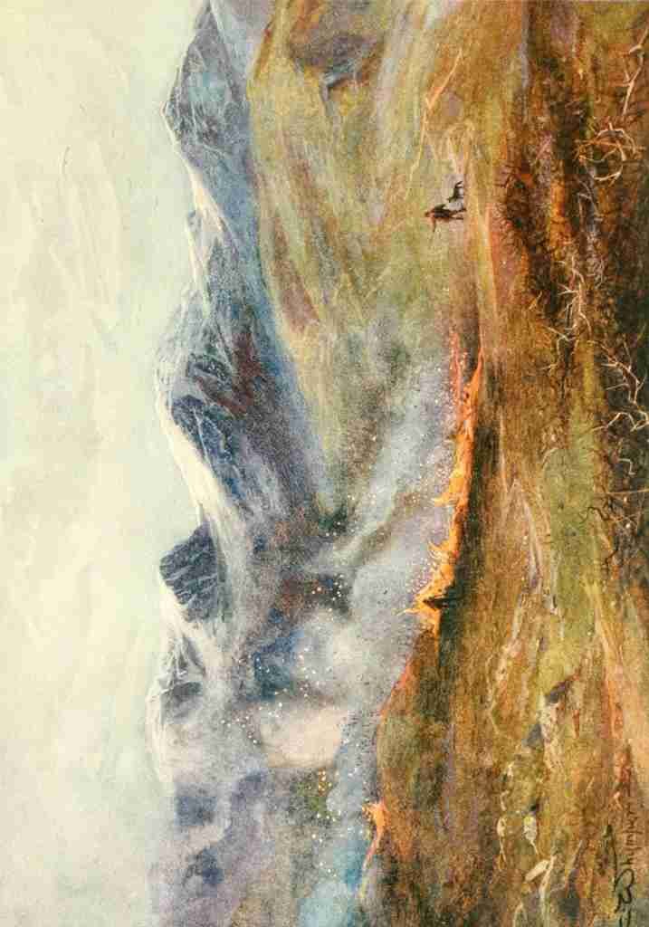 Whymper Charles 1853 1941 Grouse & Grouse Moors 1910 Heather burning A4 Photo Print