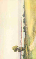 Widgery Frederick J 1861 1942 Devon 1913 Exmouth from Cockwood A4 Photo Print