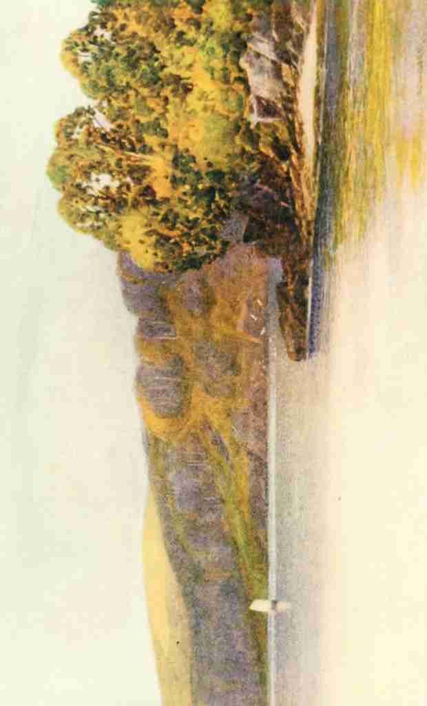 Widgery Frederick J 1861 1942 Devon 1913 Sharpham Woods River Dart A4 Photo Print