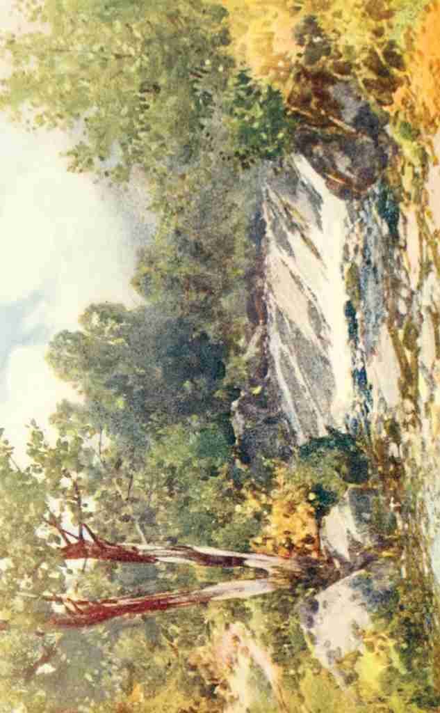 Widgery Frederick J 1861 1942 Devon 1913 Waterslide Doone Valley Vintage A4 Photo Print