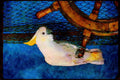 Wild Birds 008007 White Cockatoo On Ship's Wheel A4 Limited Edition Watercolour Print