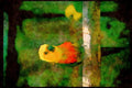 Wild Birds 008008 Yellow headed Parrot A4 Limited Edition Watercolour Print