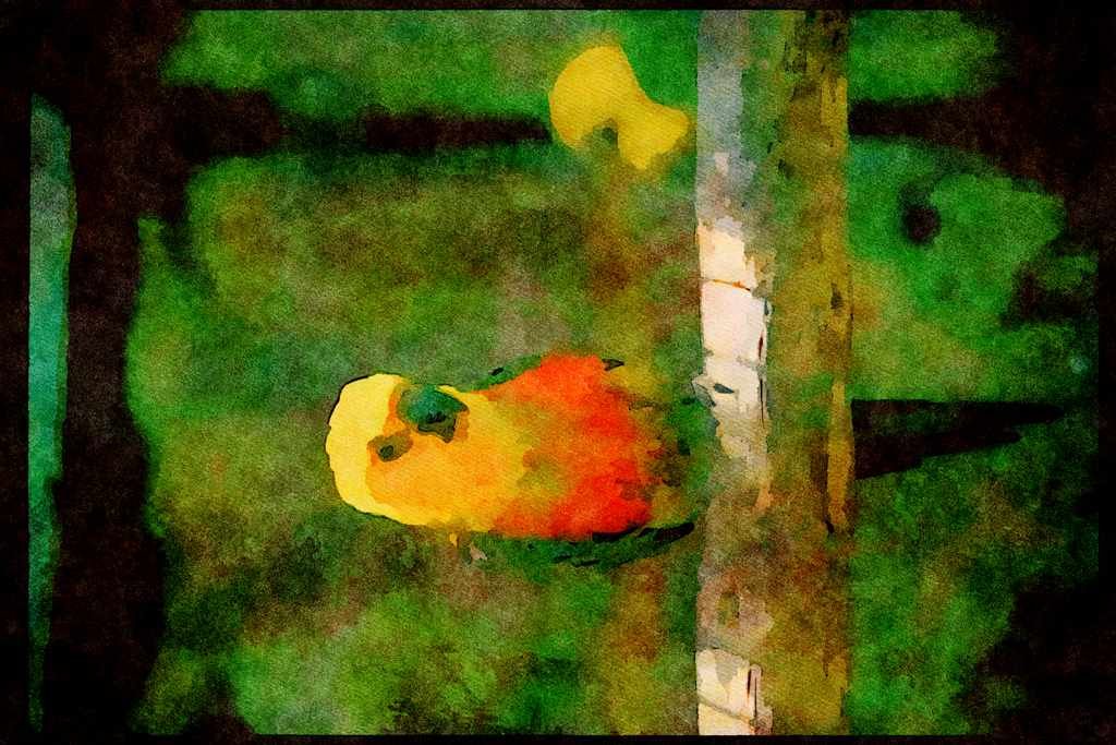 Wild Birds 008008 Yellow headed Parrot A4 Limited Edition Watercolour Print