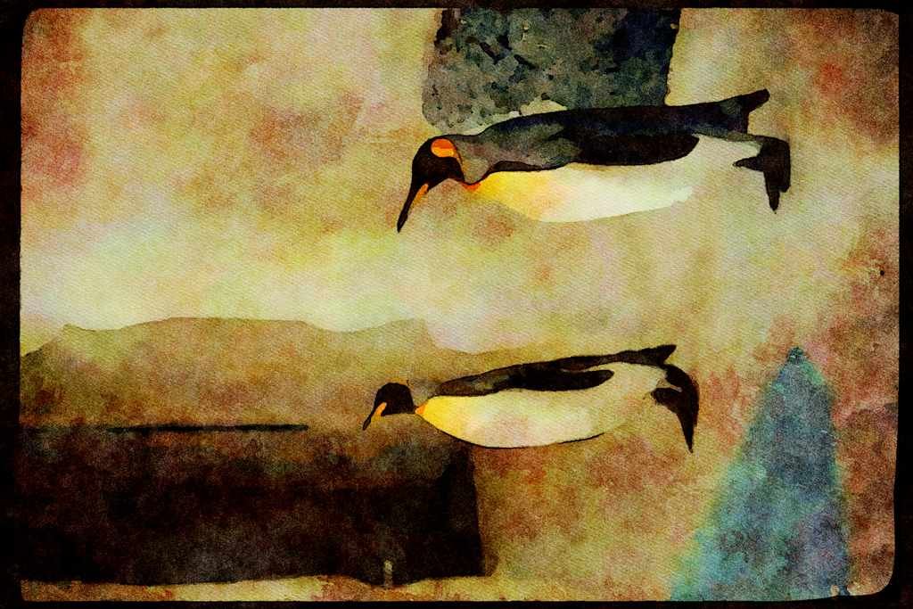 Wild Birds 008012 Two Penguins A4 Limited Edition Watercolour Print