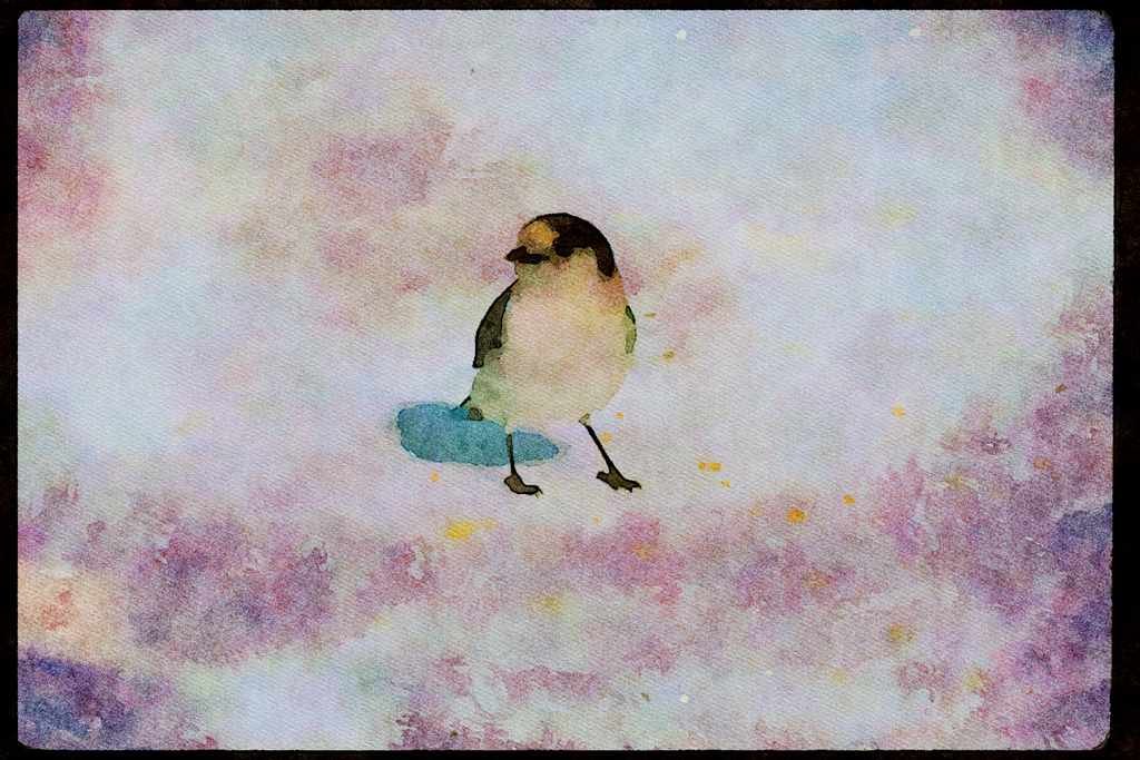Wild Birds 008029 Snow Bunting On Snow A4 Limited Edition Watercolour Print