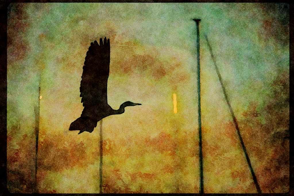 Wild Birds 008062 Flying Heron Silhouetted Against Masts A4 Limited Edition Watercolour Print