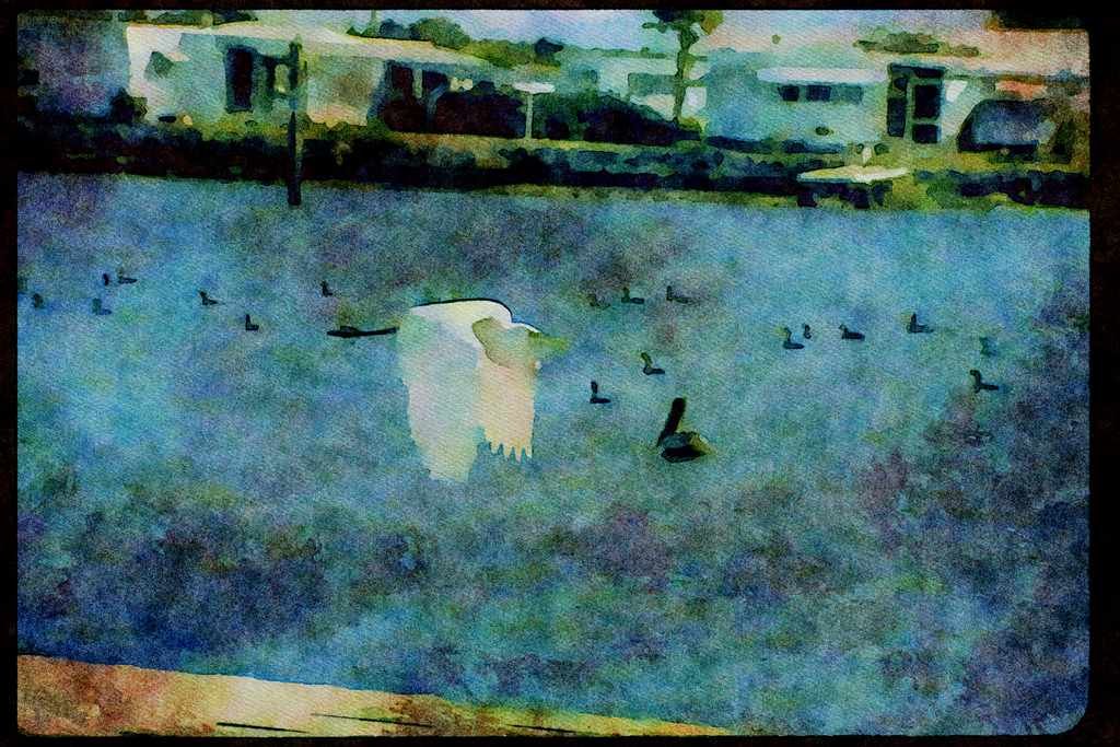 Wild Birds 008063 Egret In Flight A4 Limited Edition Watercolour Print