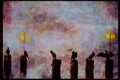 Wild Birds 008067 Cormorants On Pilings A4 Limited Edition Watercolour Print