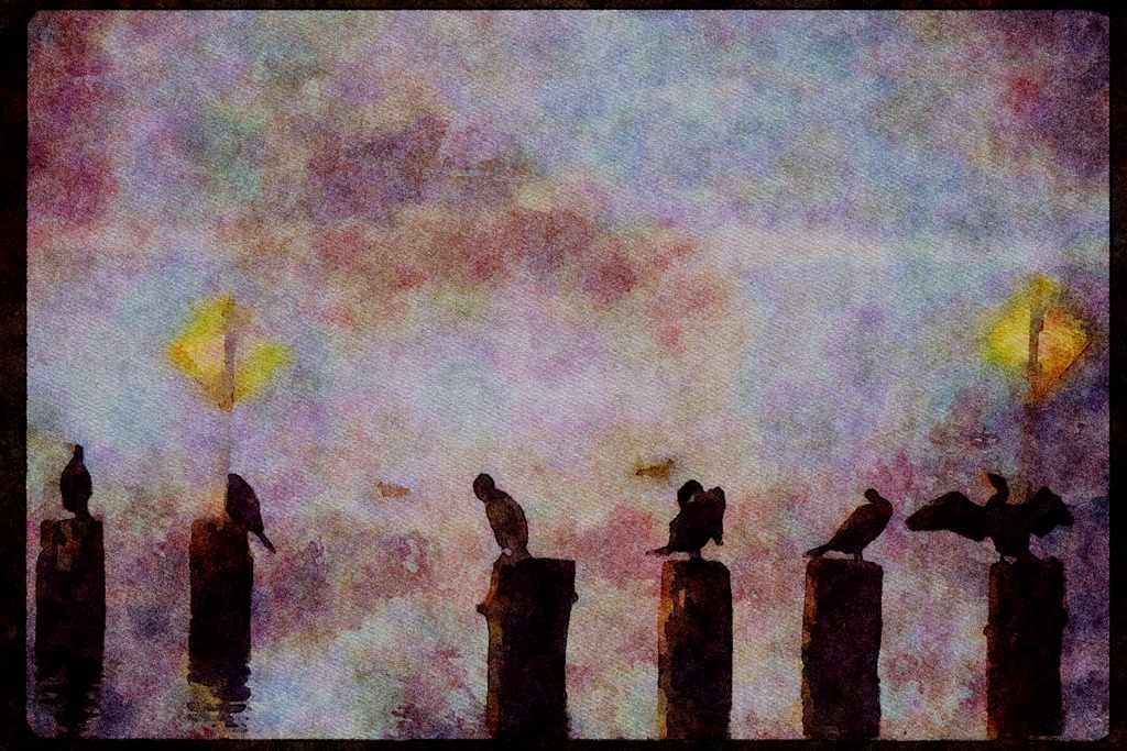 Wild Birds 008067 Cormorants On Pilings A4 Limited Edition Watercolour Print