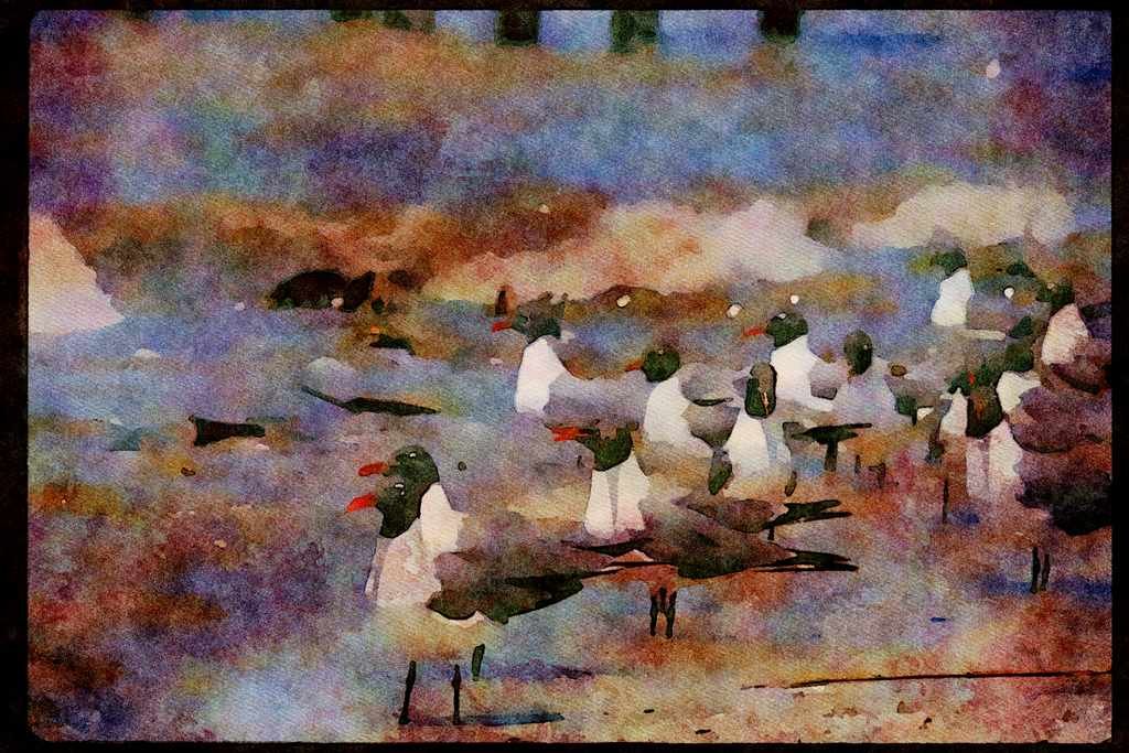 Wild Birds 008084 Laughing Gulls And Horseshoe Crab A4 Limited Edition Watercolour Print