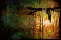 Wild Birds 008090 Seagull Silhouette At Dusk A4 Limited Edition Watercolour Print