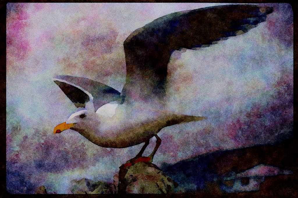 Wild Birds 008095 Seagull On Piling Stretching Wings A4 Limited Edition Watercolour Print