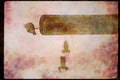 Wild Birds 008096 One legged Seagull On Piling A4 Limited Edition Watercolour Print