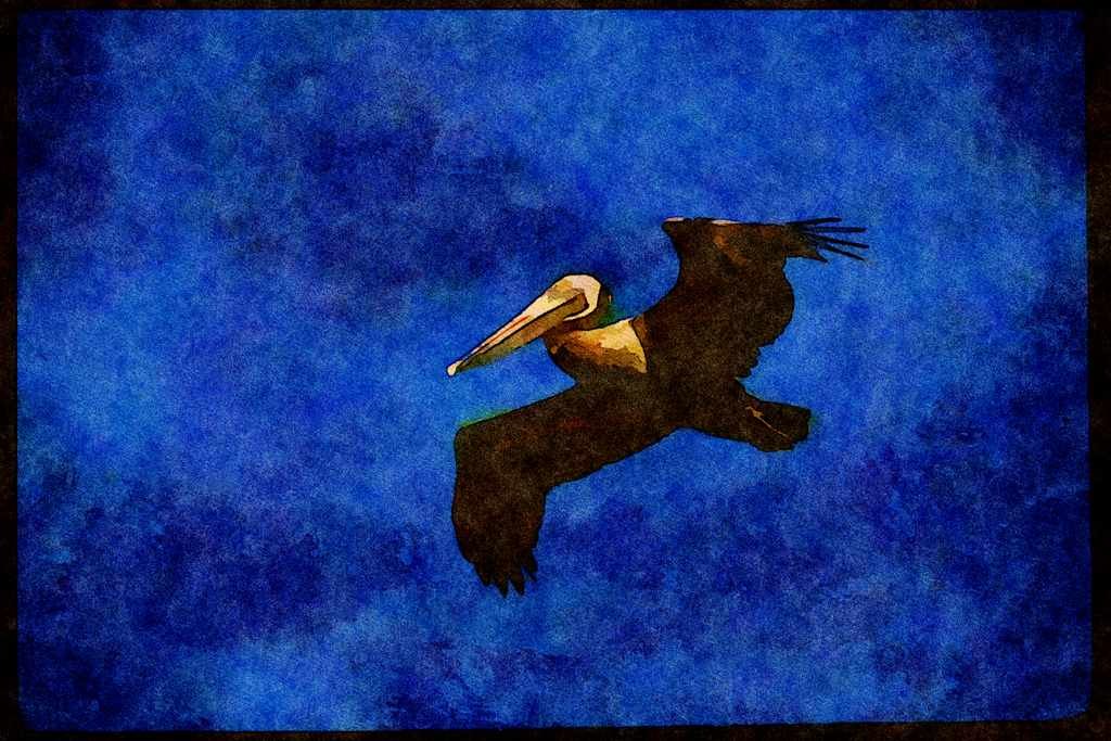 Wild Birds 008119 Brown Pelican A4 Limited Edition Watercolour Print