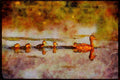 Wild Birds 008157 Mallard Duck With Chicks A4 Limited Edition Watercolour Print