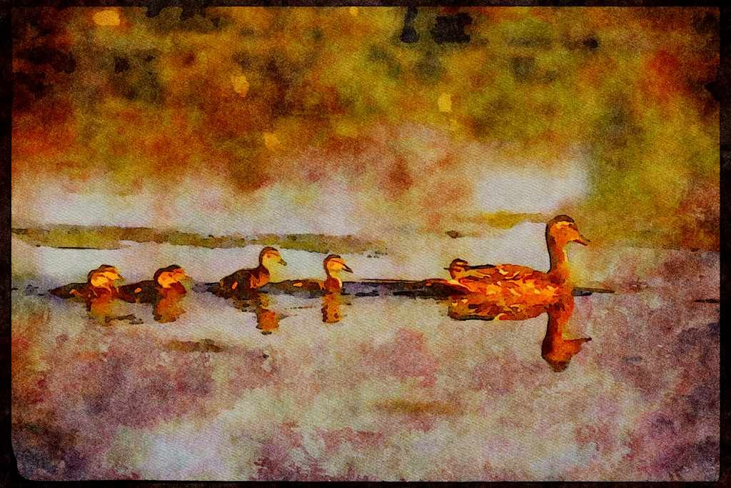 Wild Birds 008157 Mallard Duck With Chicks A4 Limited Edition Watercolour Print