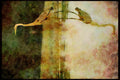 Wild Birds 008163 Great Blue Heron A4 Limited Edition Watercolour Print