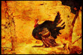 Wild Birds 008167 Wild Turkey A4 Limited Edition Watercolour Print