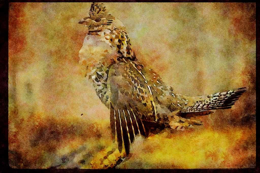 Wild Birds 352034 Ruffed Grouse Drumming A4 Limited Edition Watercolour Print