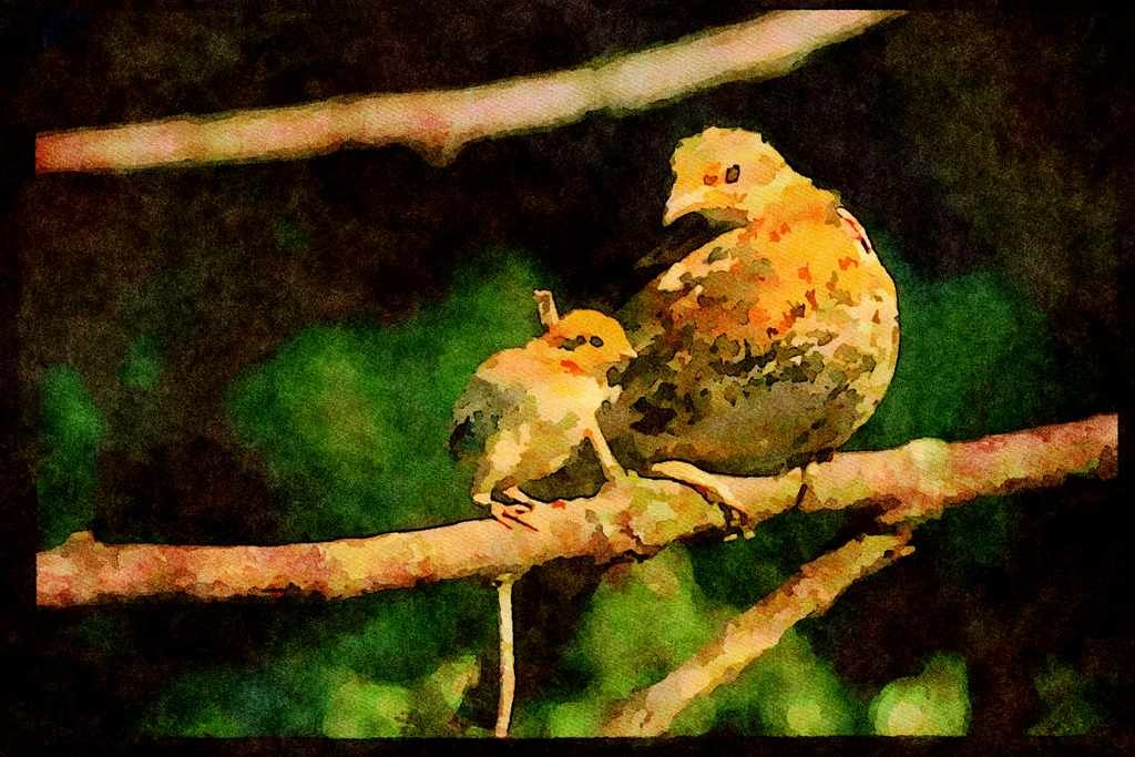 Wild Birds 352037 Ruffed Grouse, Hen And Chick On A Tree Limb A4 Limited Edition Watercolour Print