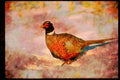 Wild Birds 352057 Cock Pheasant Standing In A Snowy Cornfield A4 Limited Edition Watercolour Print