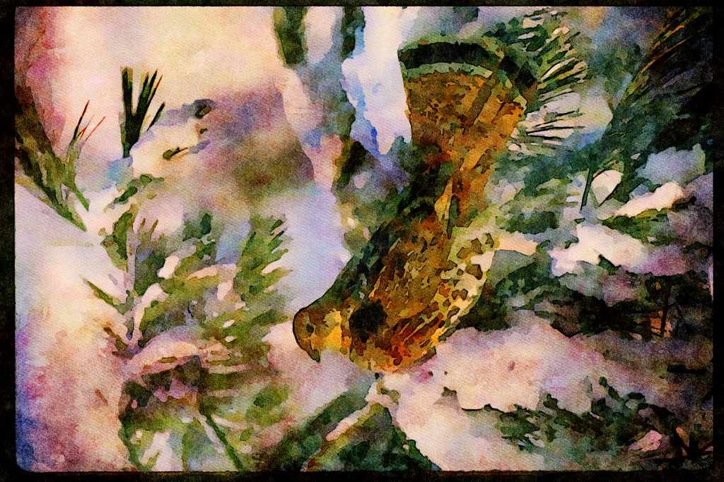 Wild Birds 352079 Ruffed Grouse Perched In A Snowy Tree A4 Limited Edition Watercolour Print
