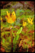 Wild Flowers Plants 013006 Yellow Wild Lily A4 Limited Edition Watercolour Print