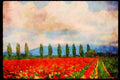 Wild Flowers Plants 013011 Rows Of Mixed Tulips A4 Limited Edition Watercolour Print