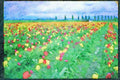 Wild Flowers Plants 013014 Rows Of Mixed Tulips Close Up A4 Limited Edition Watercolour Print