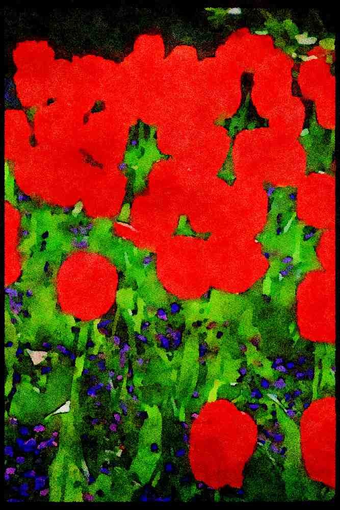 Wild Flowers Plants 013021 Translucent Red Tulips A4 Limited Edition Watercolour Print