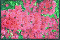 Wild Flowers Plants 013027 Deep Pink Azaleas A4 Limited Edition Watercolour Print
