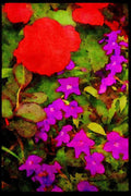 Wild Flowers Plants 013042 Purple Browalia With Red Ranunculus A4 Limited Edition Watercolour Print