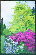 Wild Flowers Plants 013056 Pink And White Park Azaleas A4 Limited Edition Watercolour Print