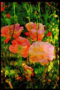 Wild Flowers Plants 013061 Pale Pink Roses A4 Limited Edition Watercolour Print