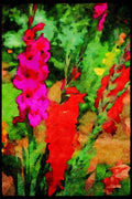 Wild Flowers Plants 013094 Red And Pink Gladiolus Stalks A4 Limited Edition Watercolour Print