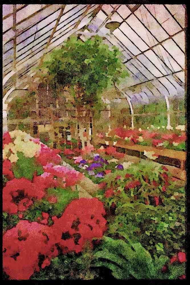 Wild Flowers Plants 013095 Conservatory With Spring Flowers A4 Limited Edition Watercolour Print