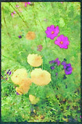 Wild Flowers Plants 013097 Yellow Garden Chrysanthemums A4 Limited Edition Watercolour Print