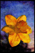 Wild Flowers Plants 013108 Yellow Daffodil, Sidelit A4 Limited Edition Watercolour Print