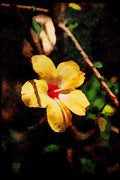 Wild Flowers Plants 013118 Pale Yellow Flower With Red Throat A4 Limited Edition Watercolour Print