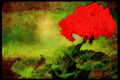 Wild Flowers Plants 013149 Red Geranium Blossom A4 Limited Edition Watercolour Print